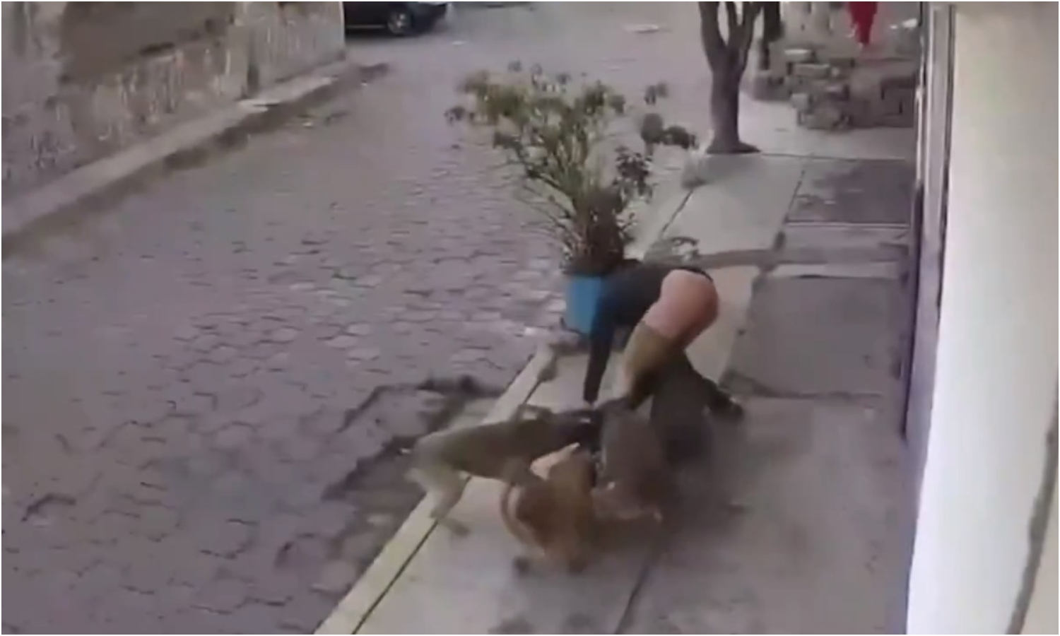México