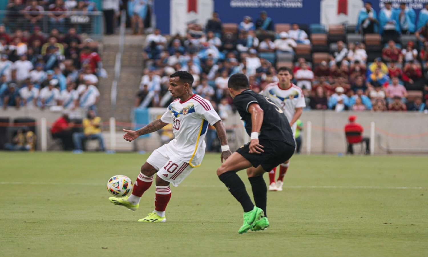 vinotinto