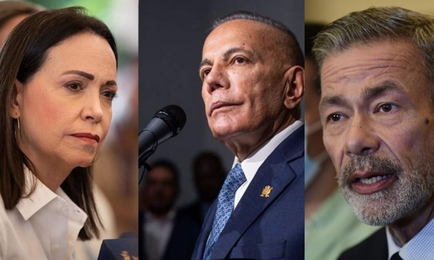 Plataforma Unitaria elecciones presidenciales Venezuela 2024