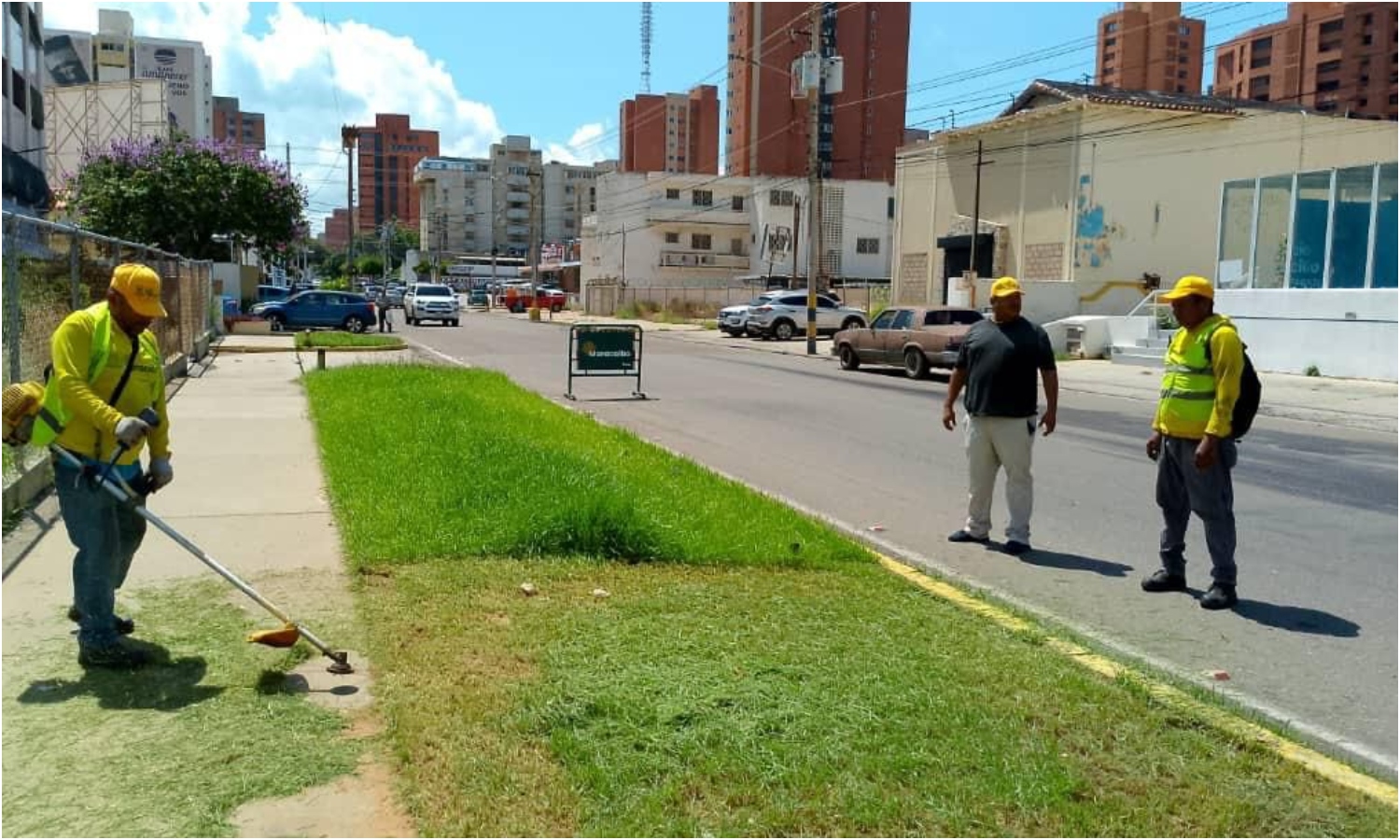 Incluyen reforestación en el Plan de Desmalezamiento en Maracaibo: el objetivo es “aprovechar la fertilidad de la tierra”