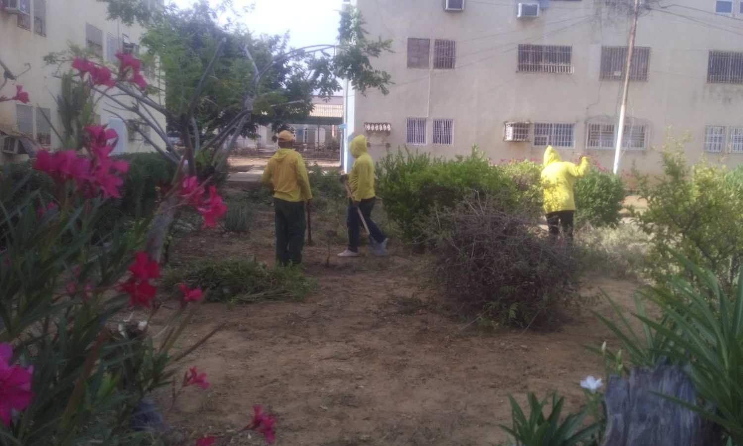 IMA realiza operativo de limpieza en San Jacinto como respuesta al llamado de sus habitantes