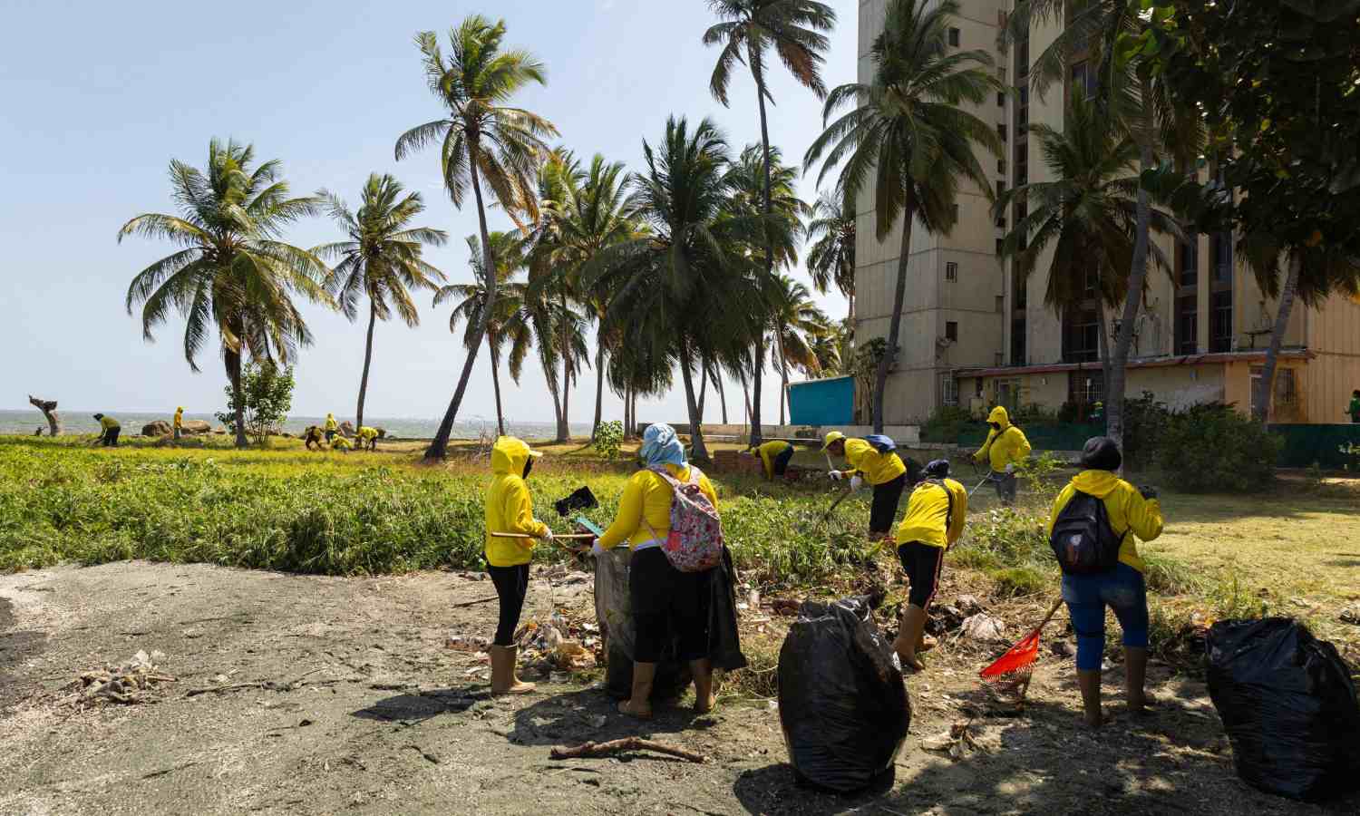 Alcaldía de Maracaibo sacó 60 toneladas de desechos de las riberas del lago con plan de limpieza
