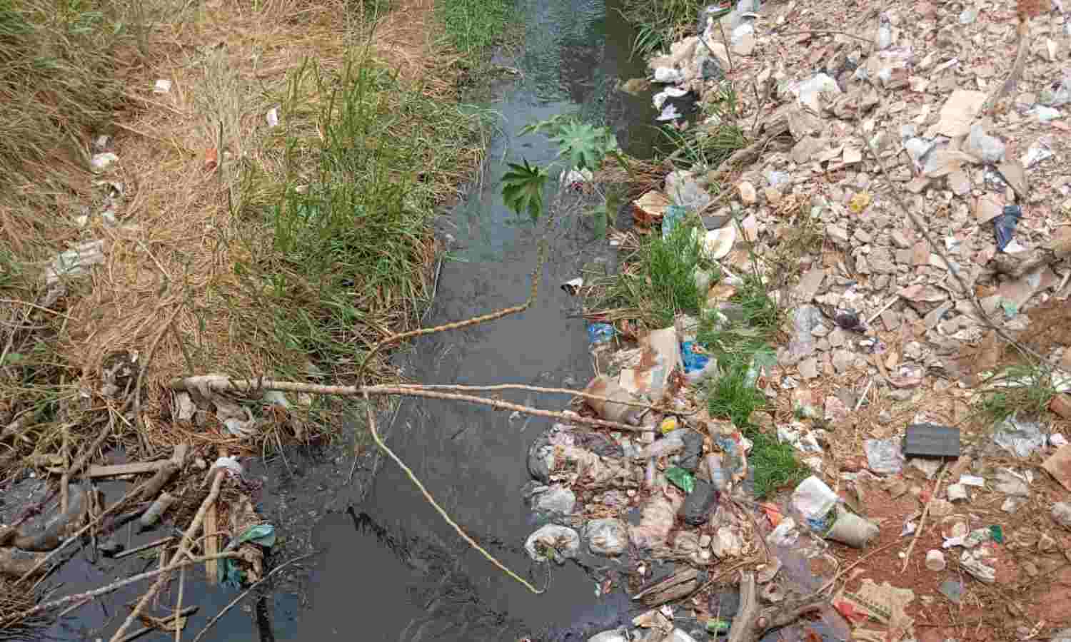Vecinos aledaños a la cañada Virgen del Carmen 2 piden limpieza y desmalezamiento del cause