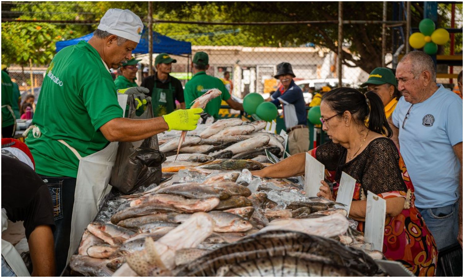 Todo un éxito los primeros días de la Feria del Pescado 2025 en Maracaibo: la jornada finalizará este 15 de abril en San Jacinto