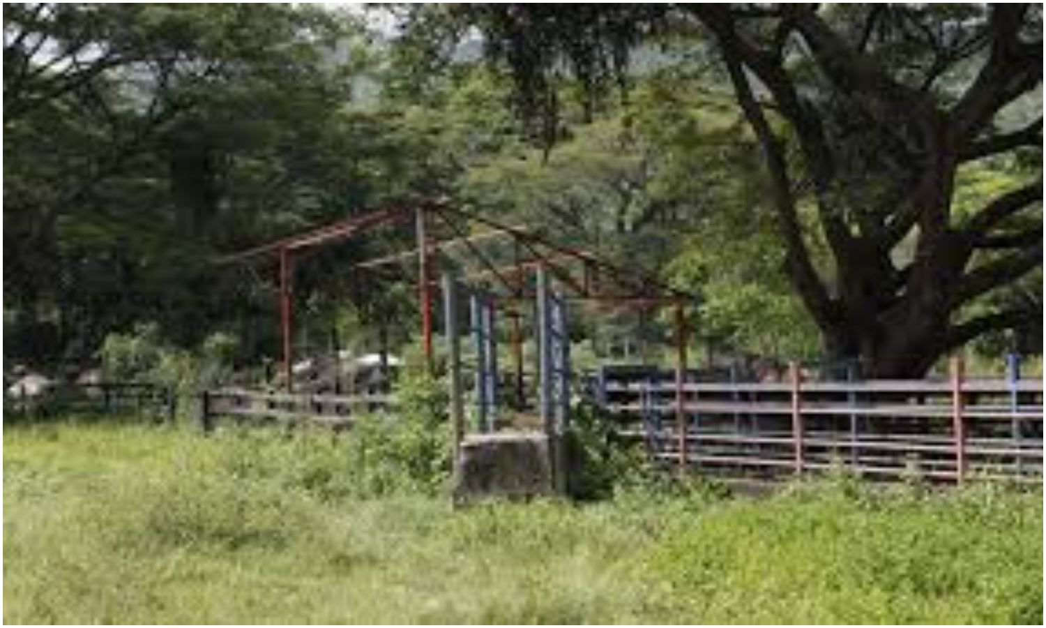 Sujetos armados irrumpieron una finca en Machiques y abusaron de una joven mientras cargaba a su bebé en brazos