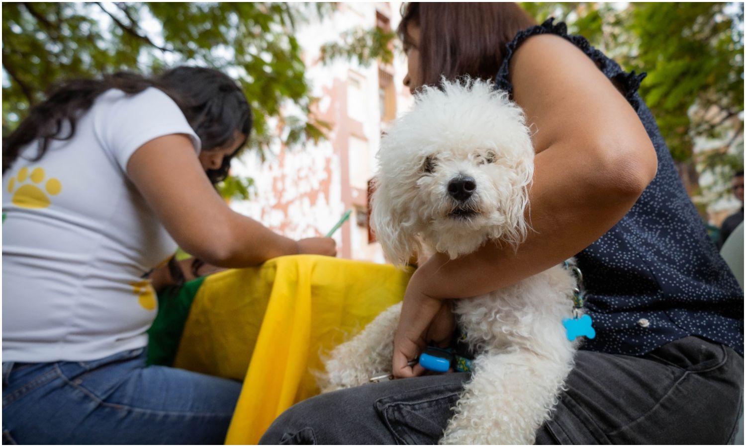 Alcaldía de Maracaibo atendió a más de 180 mascotas en jornada veterinaria gratuita en Francisco Eugenio Bustamante