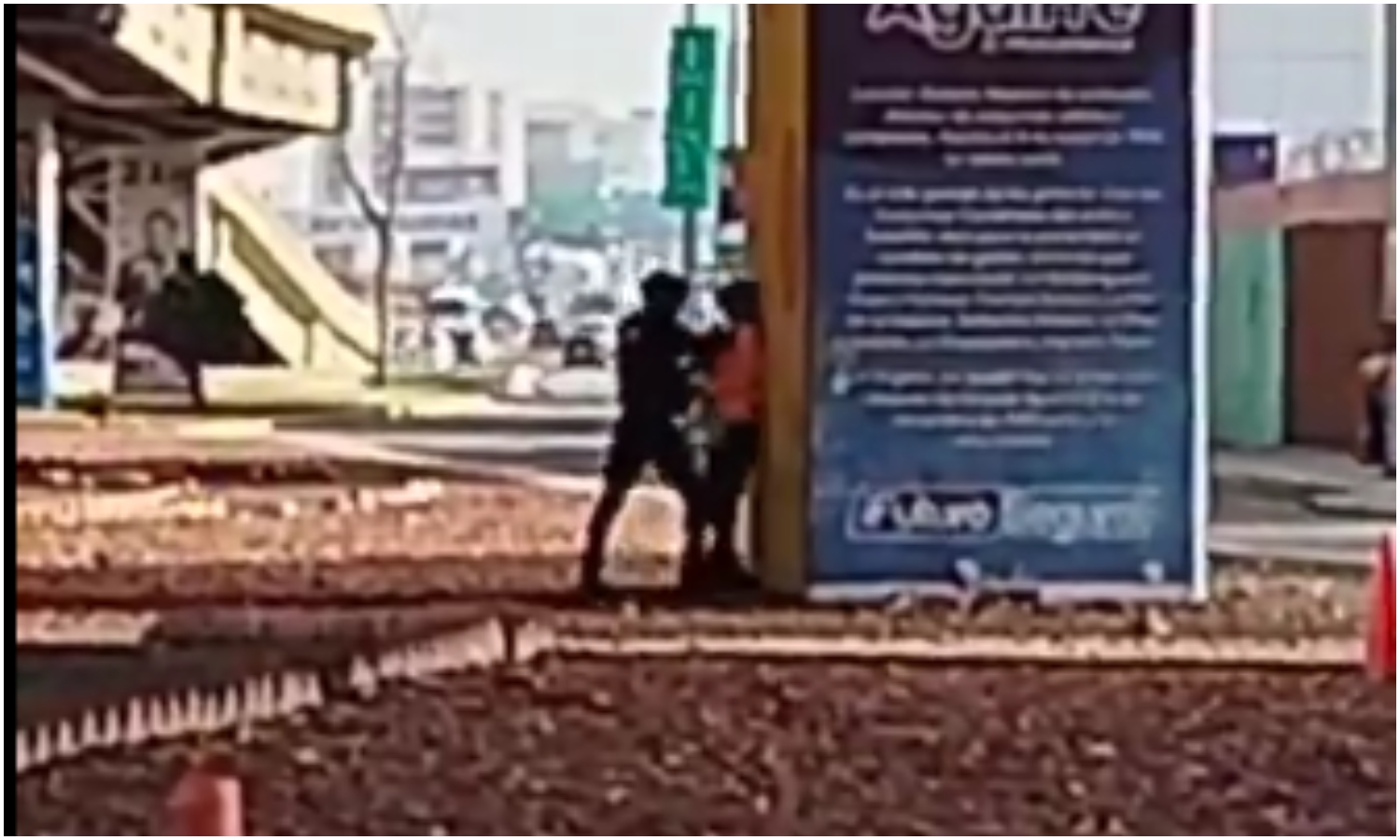 Captan en video a PNB agrediendo a su compañera debajo del elevado Las Delicias