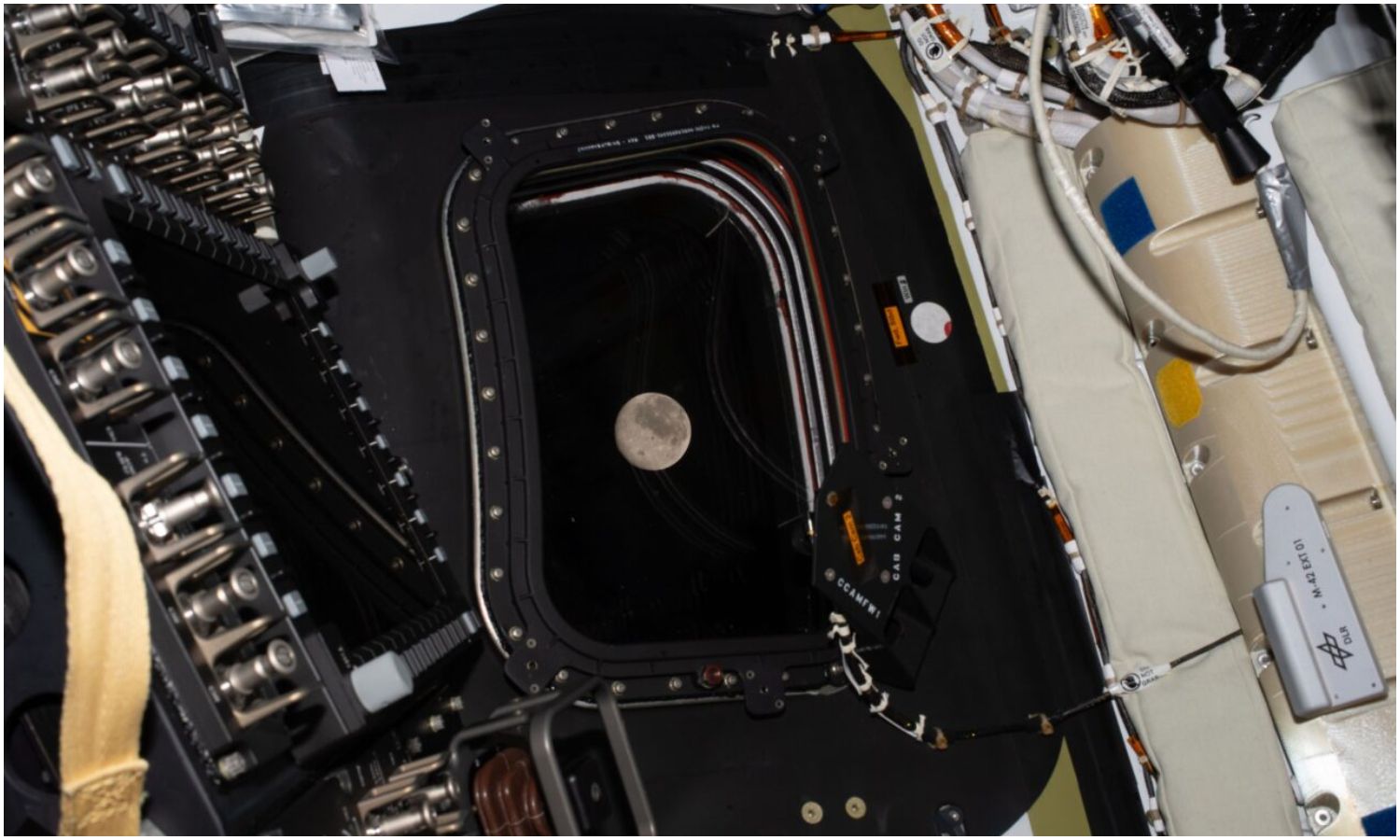 La NASA transmitirá en vivo el sobrevuelo lunar de Artemis II: ¿a qué hora y dónde verlo en Venezuela?