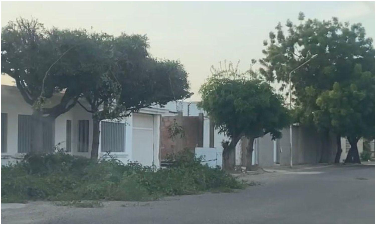 Alcaldía de Maracaibo sanciona a ciudadanos por tala ilegal de árboles en Fuerzas Armadas