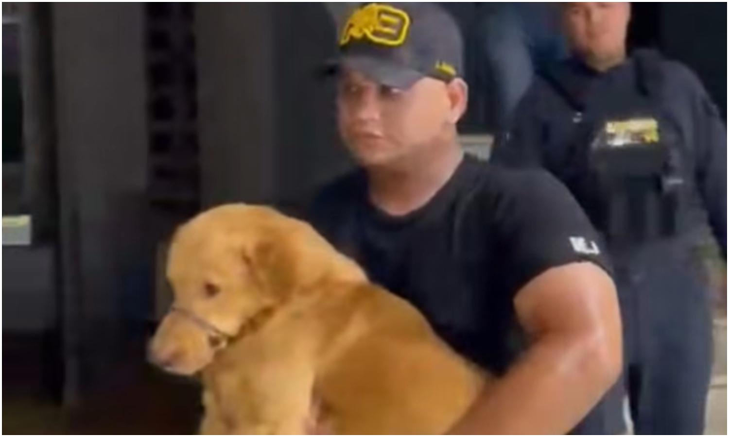 Misión Nevado asegura que “Toby” no fue maltratado: el sangrado lo provocó una enfermedad parasitaria