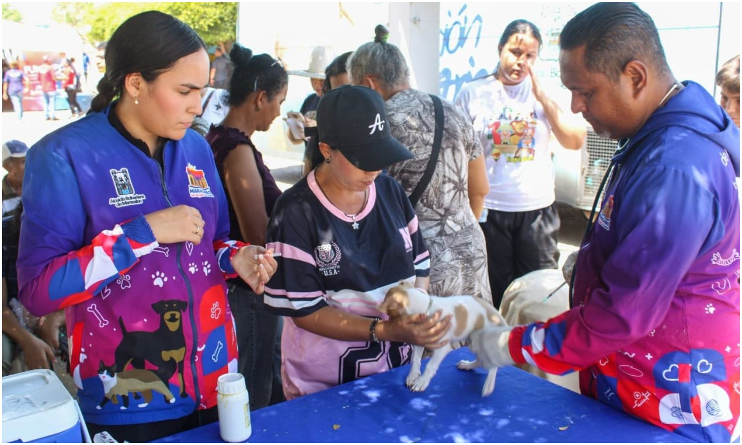 IMPA esterilizó más de 100 mascotas en jornada realizada en Maracaibo