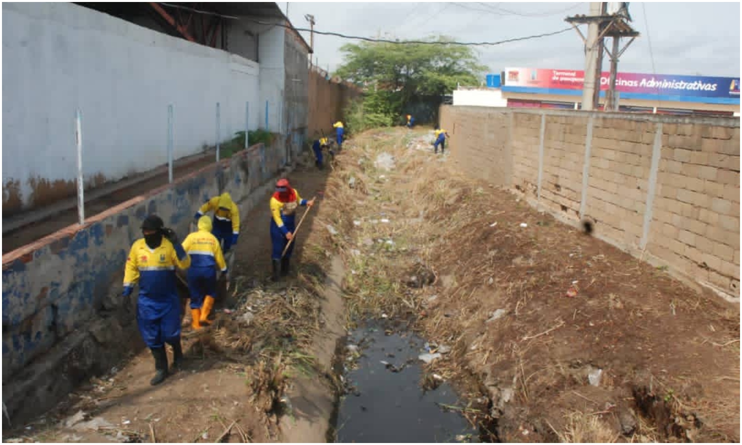 Cañadas de Maracaibo se mantienen sin desbordamientos mientras equipos atienden caída de árboles por las lluvias
