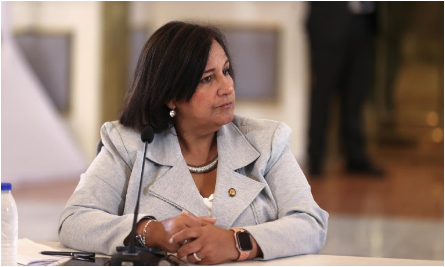 Dinorah Figuera afirma que Venezuela avanza hacia elecciones justas y transparentes