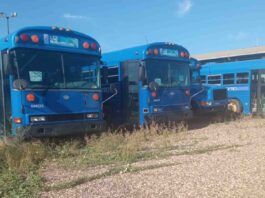 Bus Maracaibo