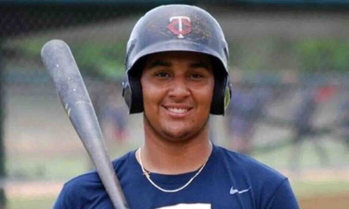 pelotero navegantes del magallanes