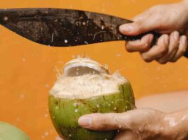 gastronomía zuliana