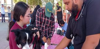 Alcaldía de Maracaibo Jornada Atención Veterinaria