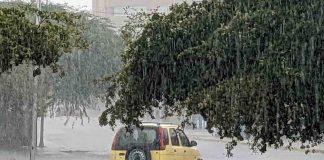 Lluvias Tormentas