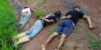 asesinato indígenas