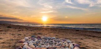 astrología agosto 2022 rituales luna ciervo