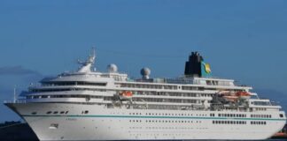 crucero amadea