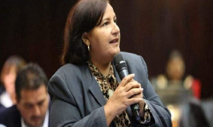 Dinorah Figuera Asamblea Nacional 2015