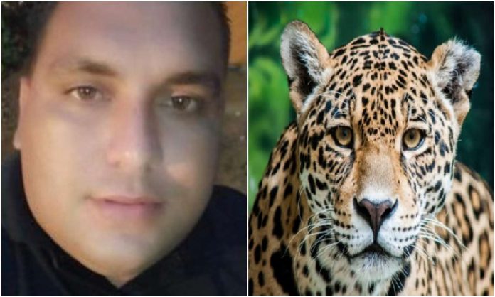 Hombre matar jaguar