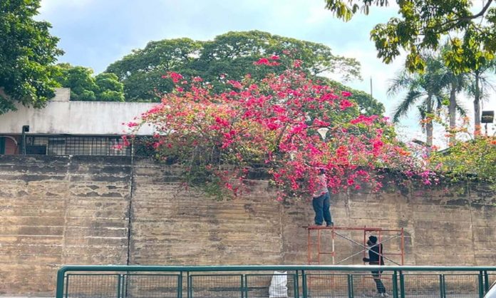 parque del este caracas