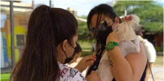 vacunación antirrábica maracaibo