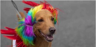 Carnaval 2023 Maracaibo