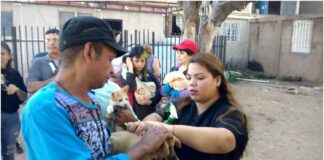 Plan de Vacunación Antirrábica Maracaibo
