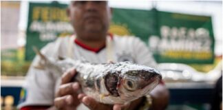 Feria del Pescado Maracaibo