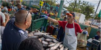 feria del pescado maracaibo