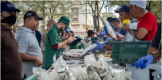 feria del pescado maracaibo