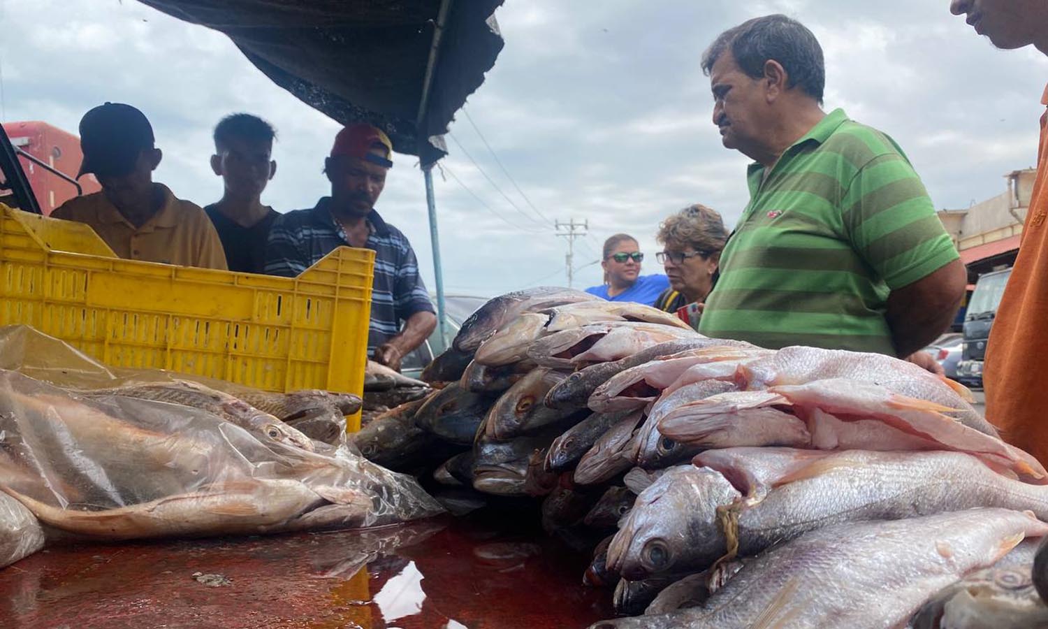 Semana Santa, precio del pescado en Maracaibo