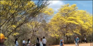Jardín Botánico de Maracaibo