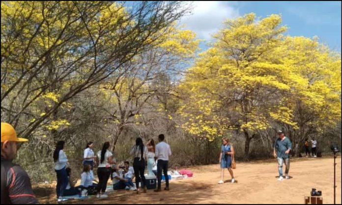 Jardín Botánico de Maracaibo