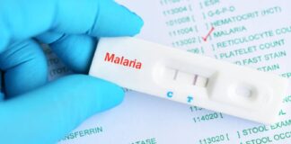 malaria venezuela