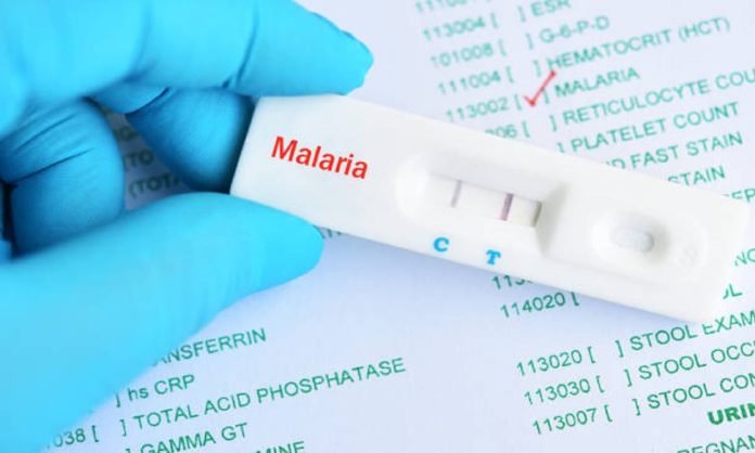 malaria venezuela