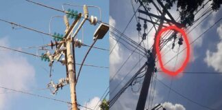 servicio eléctrico maracaibo