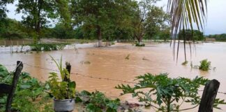 barinas lluvias