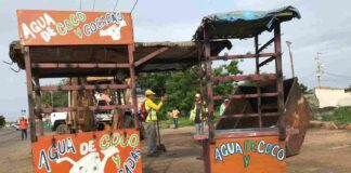 IMAU fiscalizó vendedores agua de coco