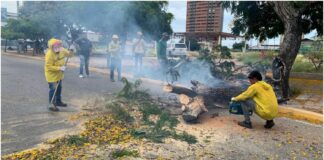 basura maracaibo
