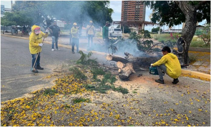 basura maracaibo