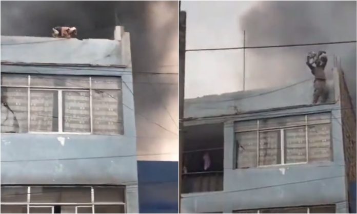 incendio perros perú