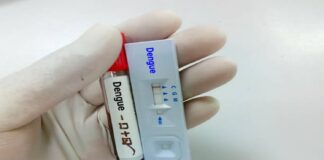 dengue