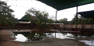 Madre Elisa Jaramillo Maracaibo