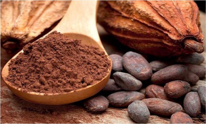 producción cacao Sucre