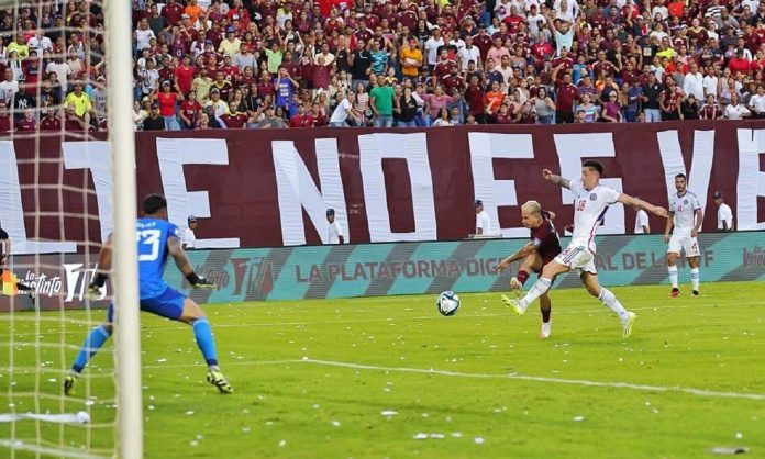 vinotinto