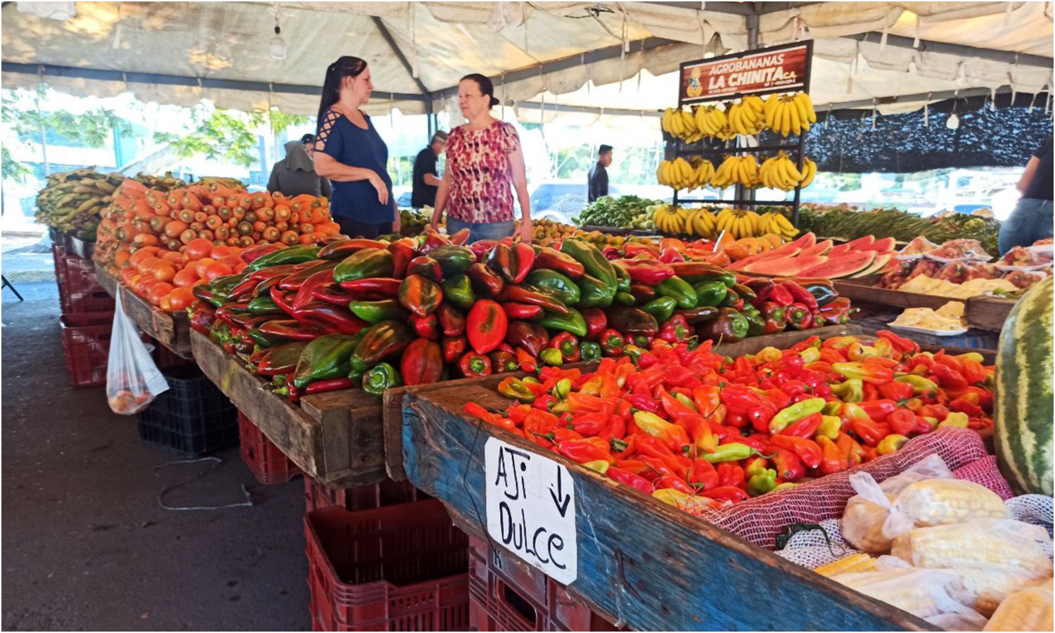 ferieros Maracaibo